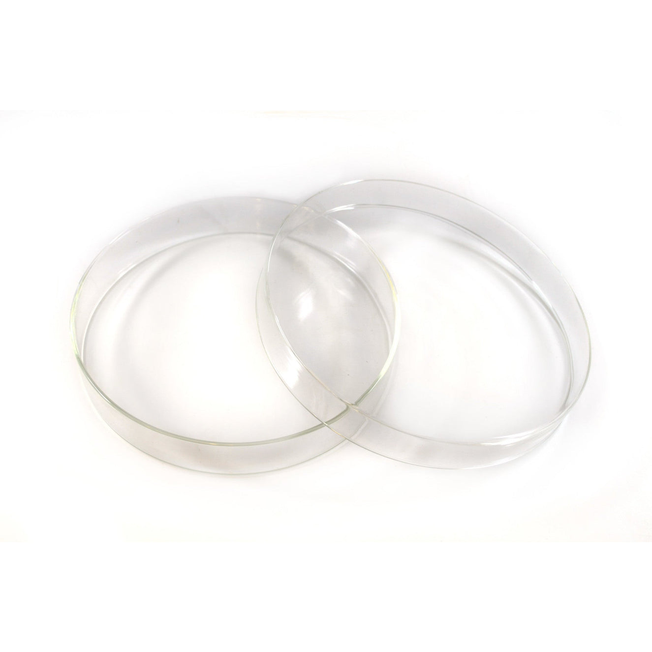 Petri Dish, 7" (180mm) Beaded Edges Easy to Sterilize for Repeated