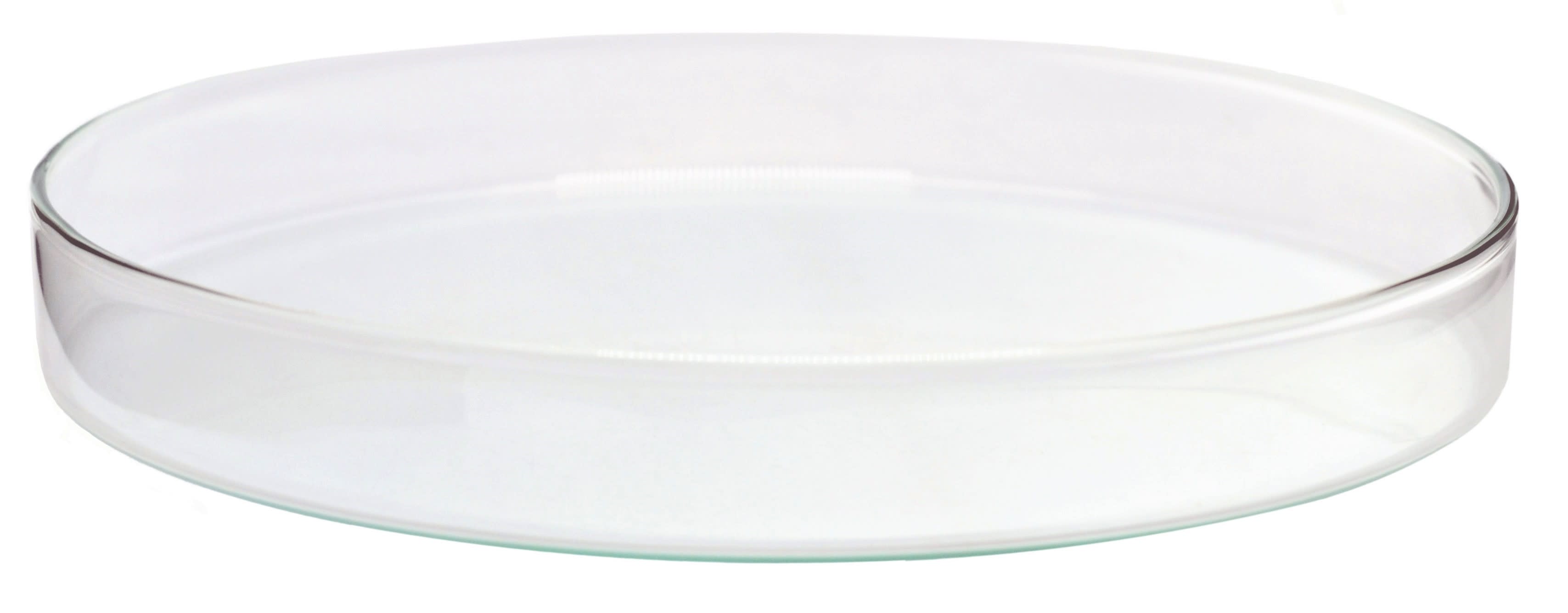 Soda Glass Petri Dish, 180 x 30mm, Autoclavable