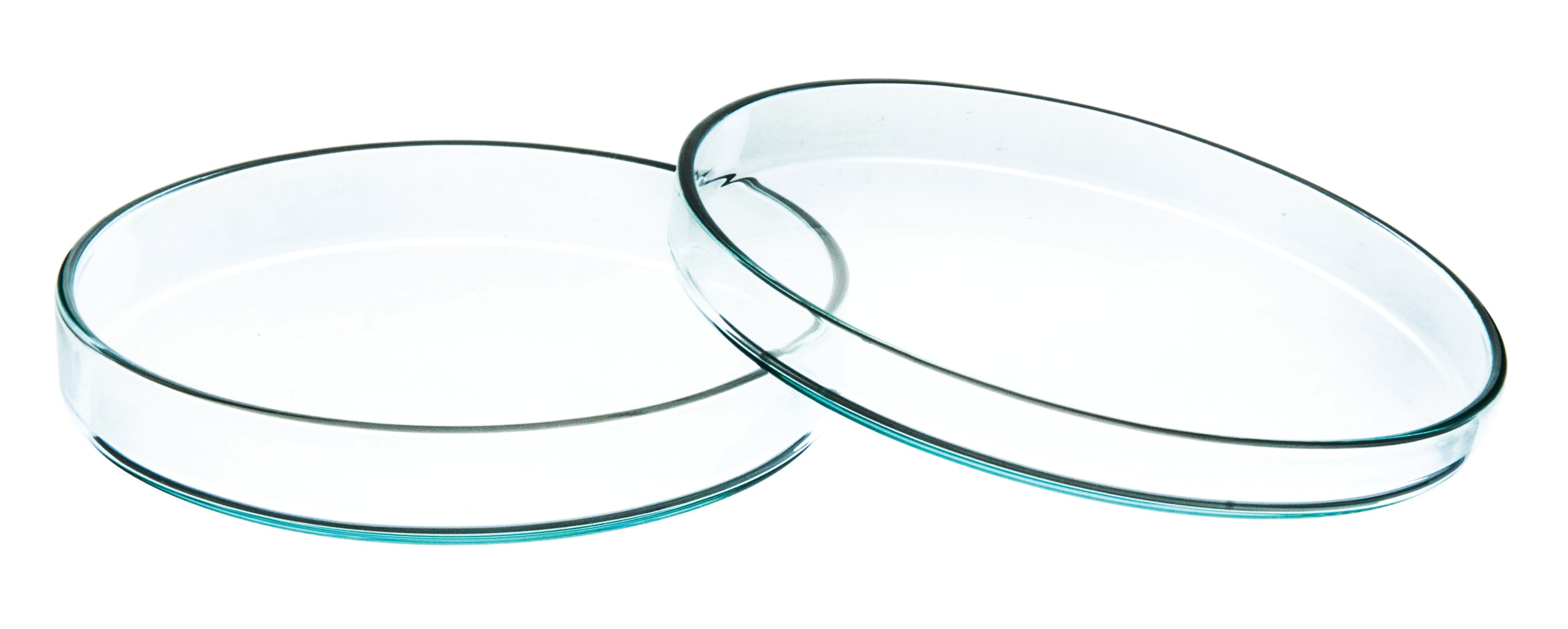 Soda Glass Petri Dish, 50 x 12mm, Autoclavable